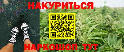 стаф Новокубанск