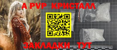 стаф Новокубанск